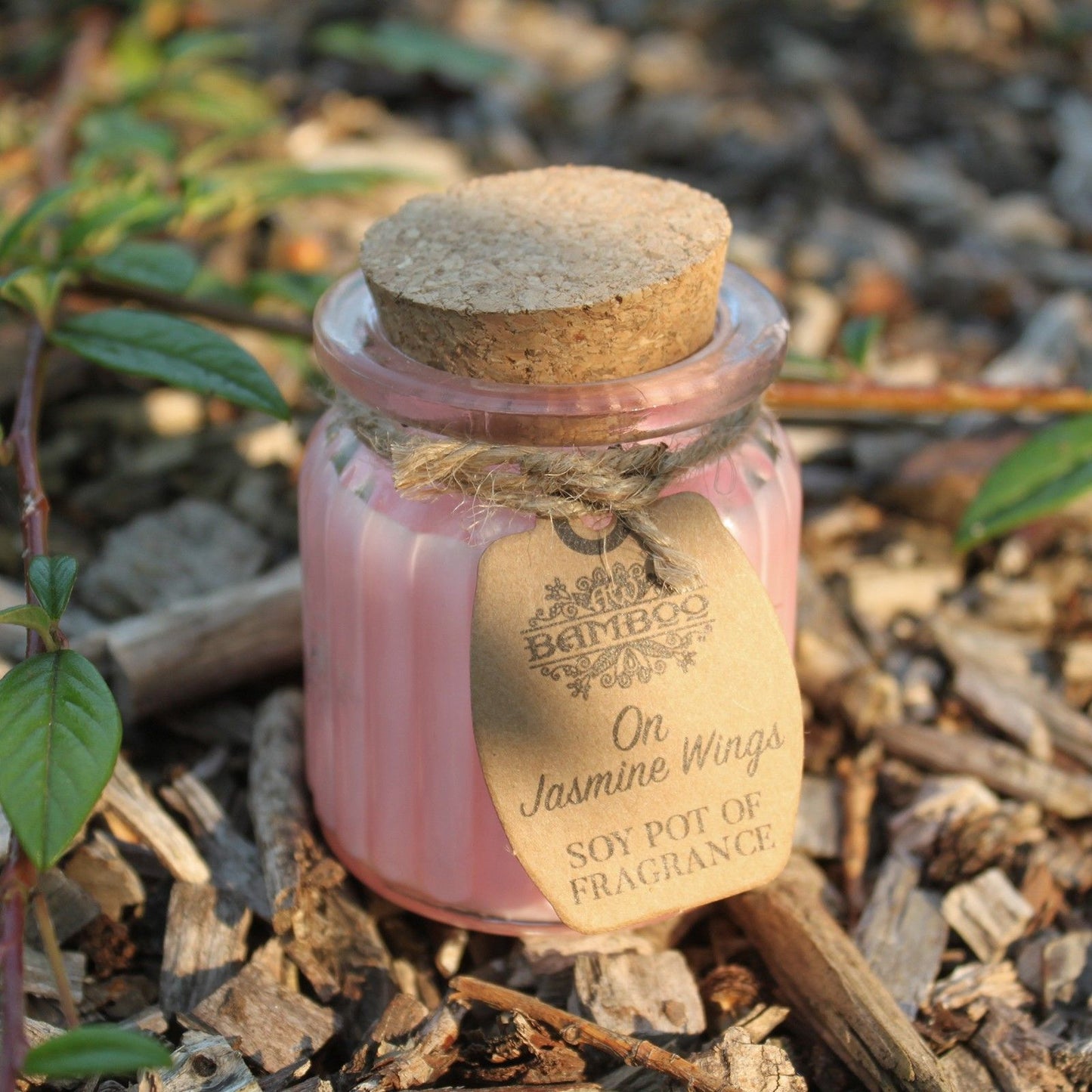 Jasmine Wings Soy Pot of Fragrance Candles